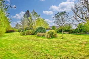 Photo 19- click for photo gallery